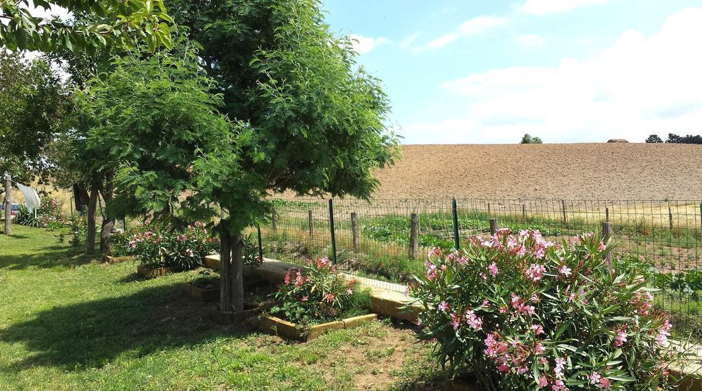 Agriturismo Airone ピティリアーノ エクステリア 写真